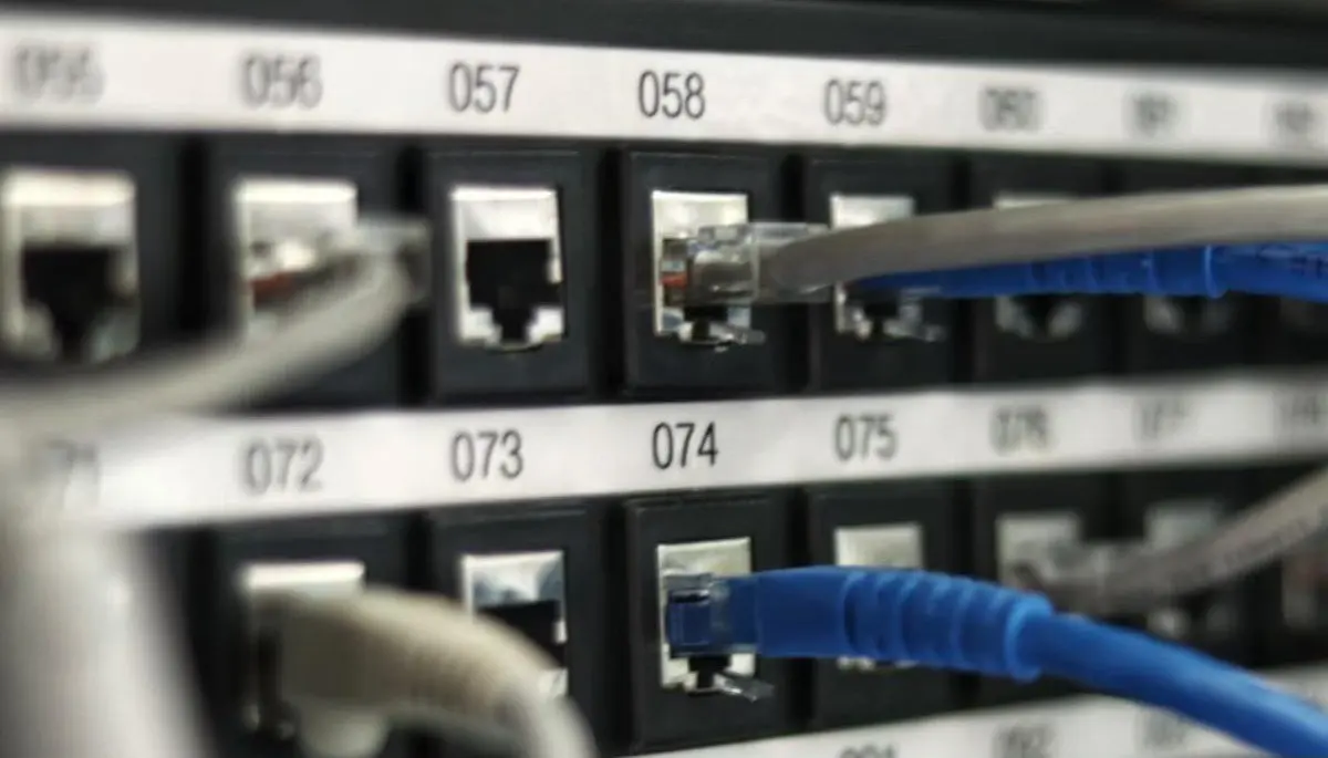 Panel krosowy z okablowaniem sieciowym